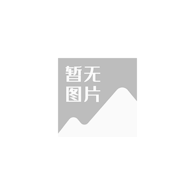 NSCN NSLP-C0301-2R2MT